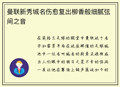 曼联新秀城名伤愈复出柳香般细腻弦间之音
