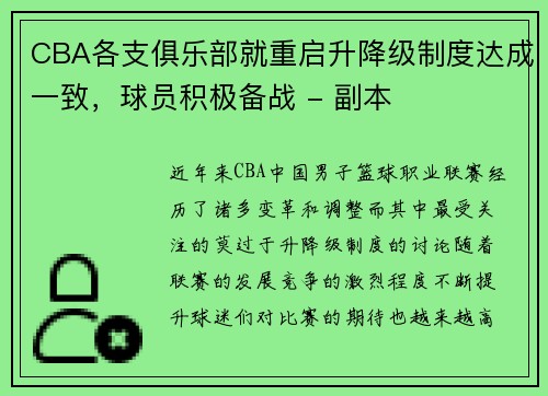 CBA各支俱乐部就重启升降级制度达成一致，球员积极备战 - 副本