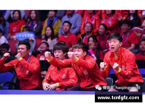 大众彩票国王主场惨遭击败，球队前景堪忧