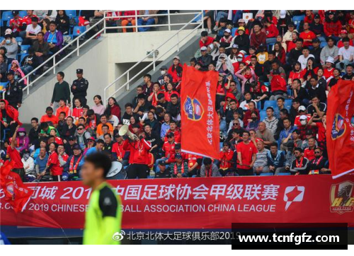 大众彩票德甲激战再现！球迷热情高涨，全力支持球队取胜