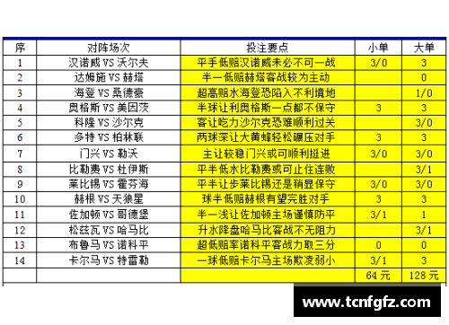大众彩票斯图加特之狼！沃尔夫助力球队夺得最佳阵容位置 - 副本