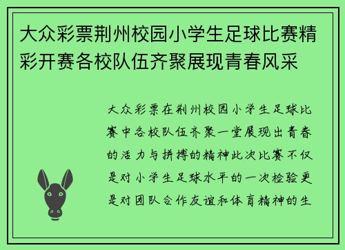 大众彩票荆州校园小学生足球比赛精彩开赛各校队伍齐聚展现青春风采